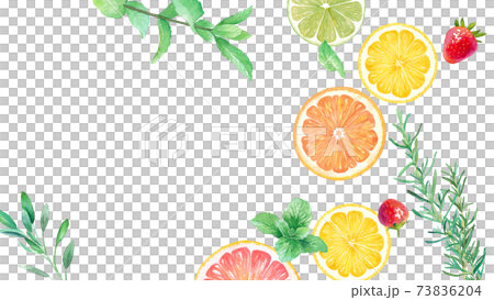 フレッシュなフルーツとハーブの水彩イラスト。シトラスとイチゴとハーブのバナー。 73836204