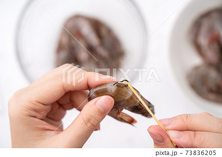 海老 エビ 蝦 73836205