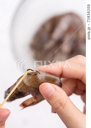 海老 エビ 蝦 73836209