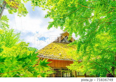 初夏の香嵐渓の新緑　【愛知県】 73836749