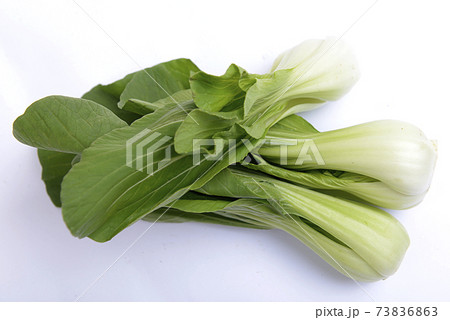 Mustard pakcoy or bok choy 73836863