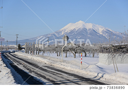 冬の津軽　岩木山とリンゴ畑 73836890