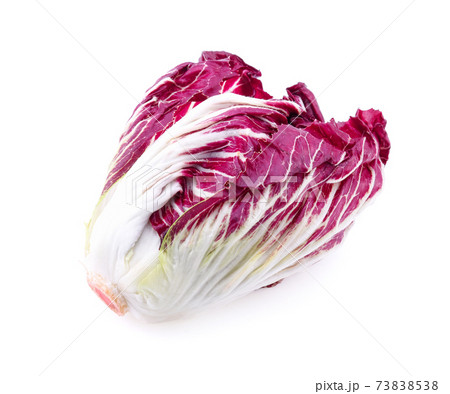 Radicchio isolated on white background 73838538