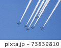 熊本 飛翔祭のブルーインパルス 73839810