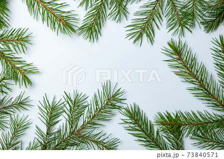 Simple Christmas and New Year background with green spruce branches 73840571