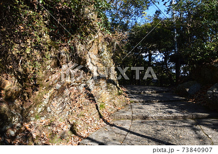 岐阜城・天守閣へと続く山道(金華山/岐阜県岐阜市) 岐阜城・天守閣へと続く山道(金華山/岐阜県岐阜市) 73840907