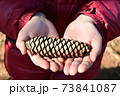 家族と公園散歩 思い出のドイツトウヒ 73841087