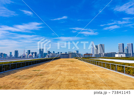 豊洲市場屋上緑化広場からの風景 73841145
