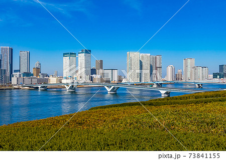 豊洲市場屋上緑化広場からの風景 豊洲市場屋上緑化広場からの風景 73841155