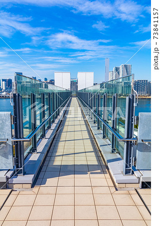 豊洲市場屋上緑化広場からの風景 豊洲市場屋上緑化広場からの風景 73841157