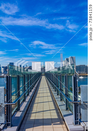 豊洲市場屋上緑化広場からの風景 73841159