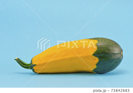 fresh zucchini on azure background 73842683