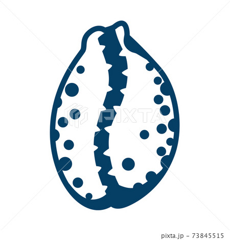 Illustration of seashell. 73845515