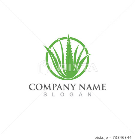 Aloe vera logo and symbol vector 73846344