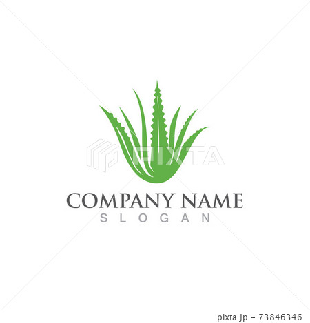 Aloe vera logo and symbol vector 73846346