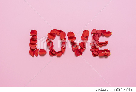 Love word from rose petals on pink background. Valentine day concept 73847745