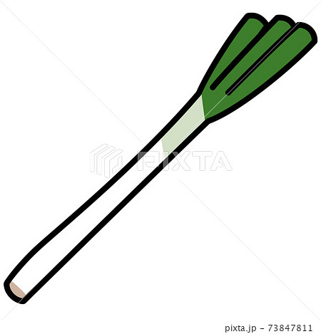 ネギ 1本 白バック カットイラスト 素材 ネギ 1本 白バック カットイラスト 素材 73847811