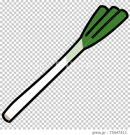 ネギ 1本 白バック カットイラスト 素材 ネギ 1本 白バック カットイラスト 素材 73847811