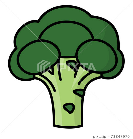 ブロッコリー 1株 白バック カットイラスト 素材のイラスト素材