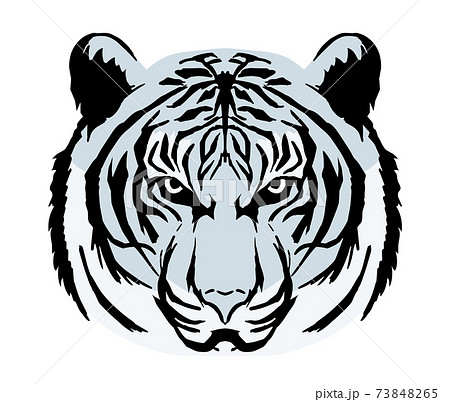 トラ（ホワイトタイガー）の顔/動物/年賀状素材のイラスト素材