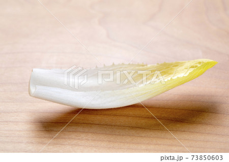 新芽野菜ちこり 新芽野菜ちこり 73850603