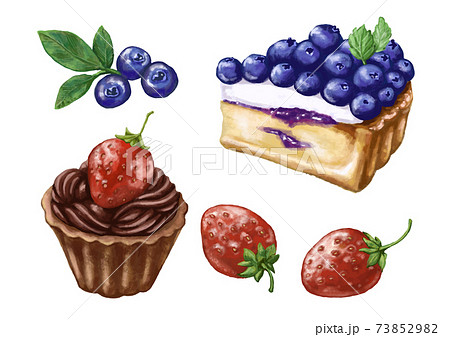 ケーキとフルーツのイラストのイラスト素材