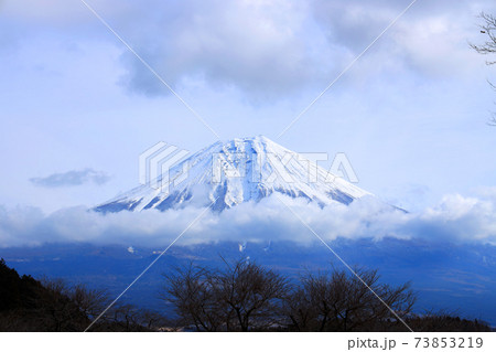静岡県富士宮市の田貫湖から見る2021年の富士山（世界遺産）、冬、雪山、日本一【1月】 73853219