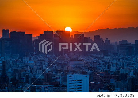 《東京都》東京の夕暮れ・都心の摩天楼 73853908