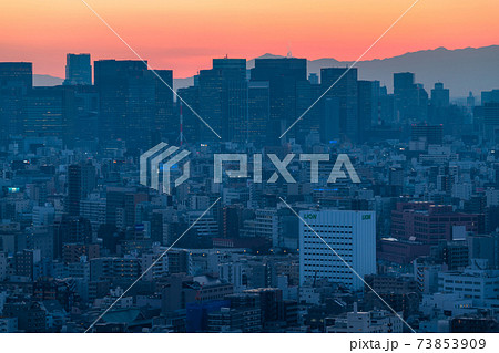 《東京都》東京の夕暮れ・都心の摩天楼 73853909