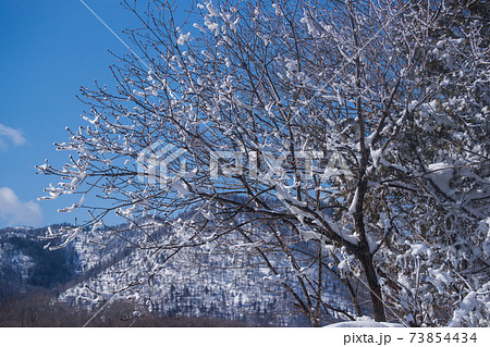 雪花 雪花 73854434