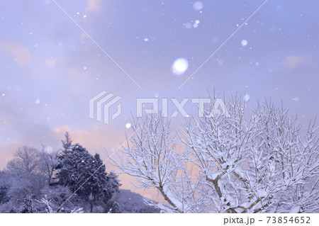 雪降る朝の空 雪降る朝の空 73854652