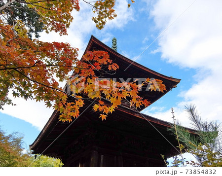 京都 小倉山 常寂光寺の紅葉 73854832