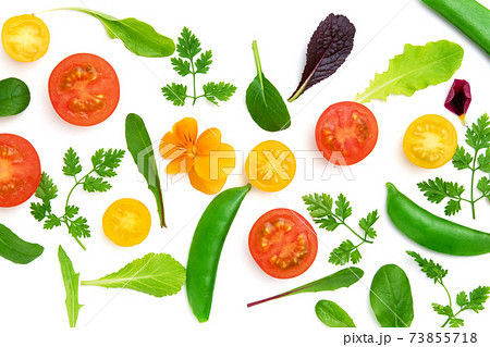 野菜のフレーム 野菜のフレーム 73855718