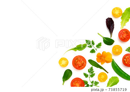 野菜のフレーム 野菜のフレーム 73855719