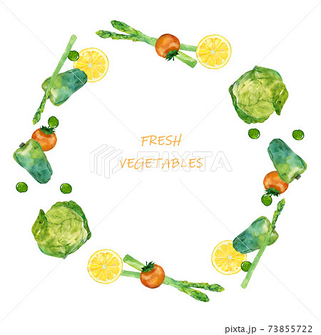 野菜のフレーム 水彩イラストのイラスト素材