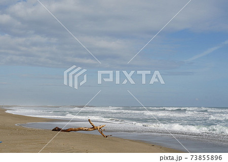 早春の茨城県鹿嶋市 かしま海岸の冬 晴れた日の風景 早春の茨城県鹿嶋市 かしま海岸の冬 晴れた日の風景 73855896