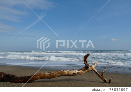 早春の茨城県鹿嶋市 かしま海岸の冬 晴れた日の風景 早春の茨城県鹿嶋市 かしま海岸の冬 晴れた日の風景 73855897