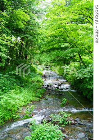 あの日の軽井沢 あの日の軽井沢 73856191