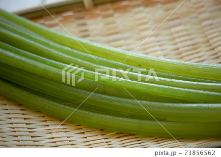 京フキ(2) 73856562