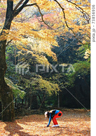 紅葉 秋 恋人 73856936