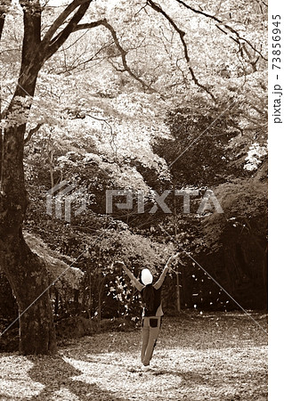 秋 公園 恋人 73856945