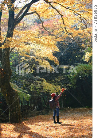 秋 公園 恋人 73856955
