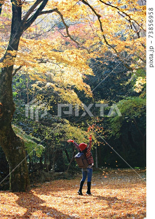 秋 公園 恋人 73856958