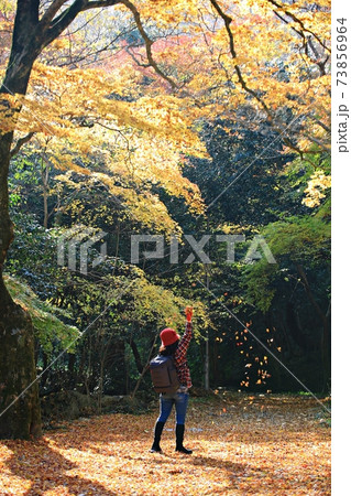 秋 公園 恋人 73856964