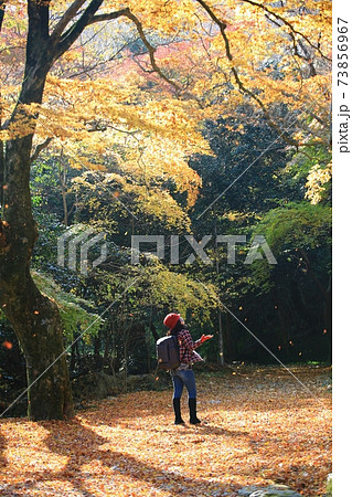 秋 公園 恋人 73856967