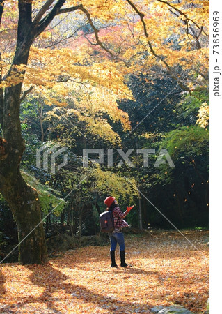 秋 公園 恋人 73856969