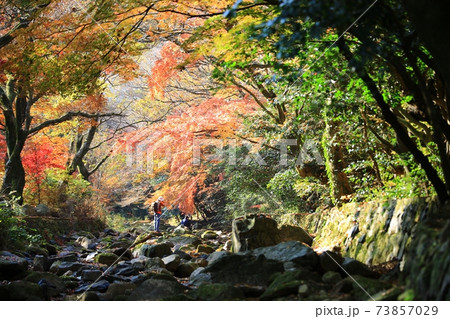 紅葉 秋 恋人 73857029