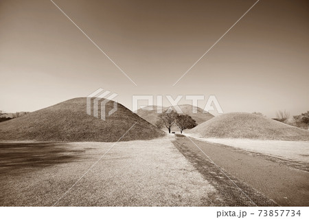 風景 樹木 冬 73857734