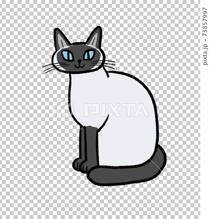 シャム猫のイラストのイラスト素材