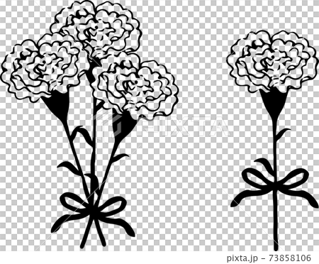 カーネーションの花束 73858106